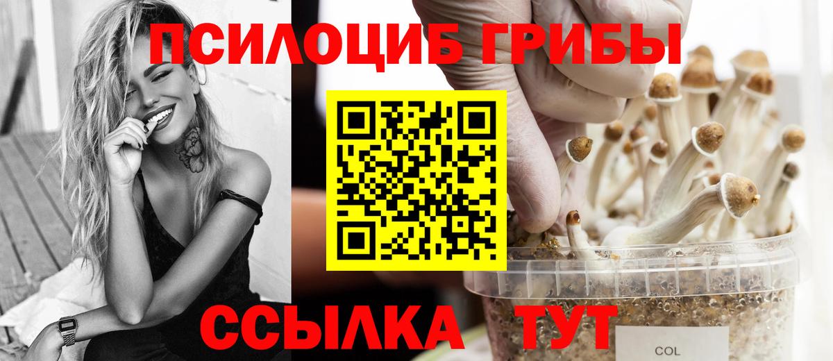 Галлюциногенные грибы мицелий Чусовой